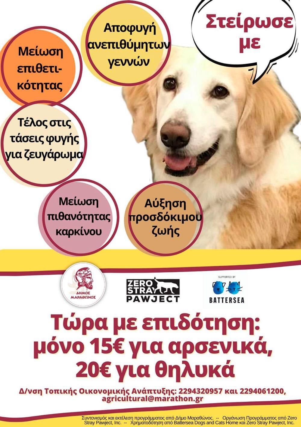 Επιδοτούμενη ή/και δωρεάν στείρωση & σήμανση δεσποζόμενων ζώων