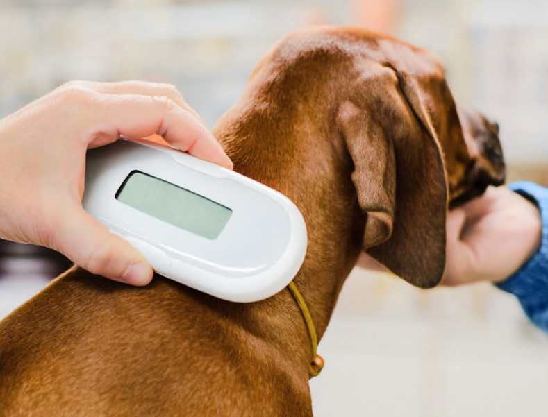 Τι είναι το microchip;